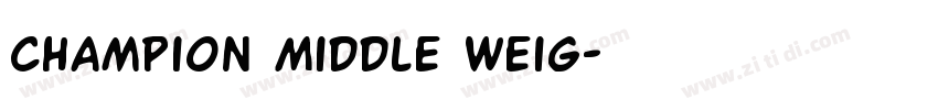 Champion Middle Weig字体转换